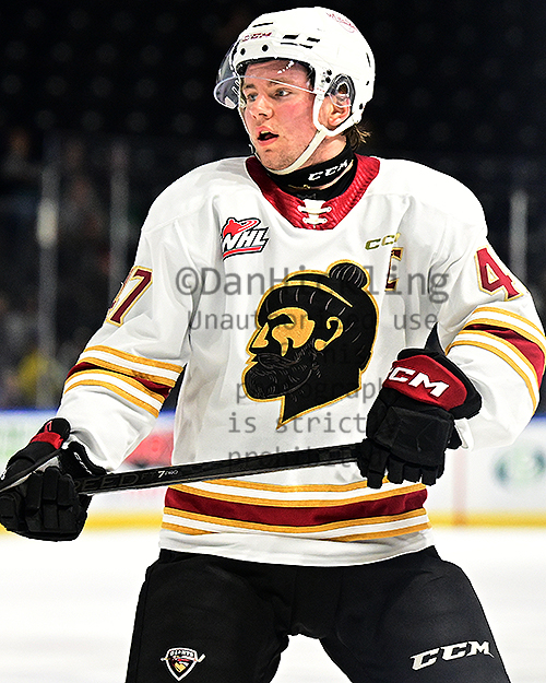 www.eliteprospects.com