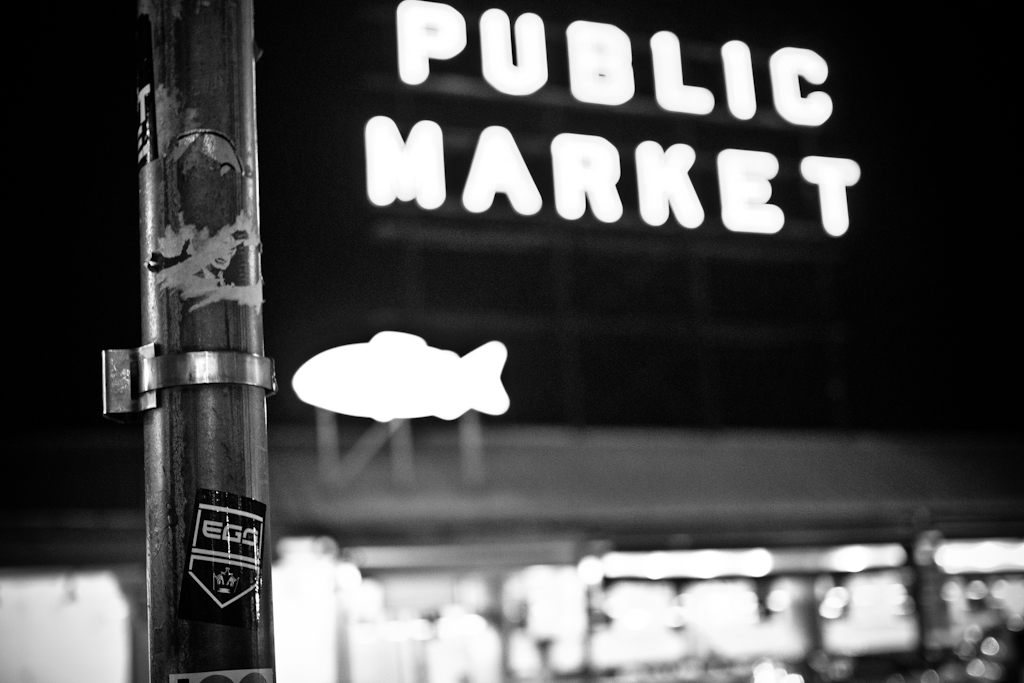 P1130556.jpg