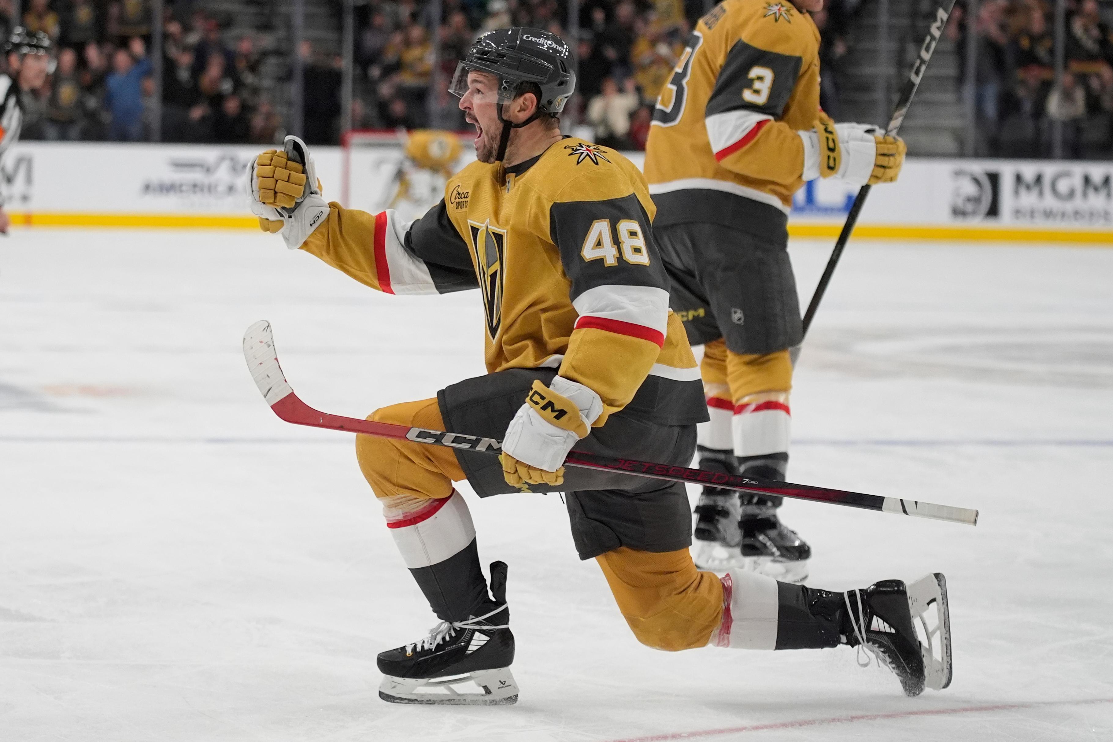 Vegas Golden Knights center Tomas Hertl (48) celebrates after scoring...
