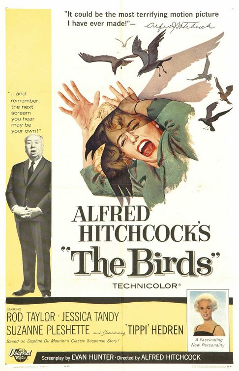 birds.jpg