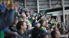 crowd-cheering-northern-ireland-football.gif