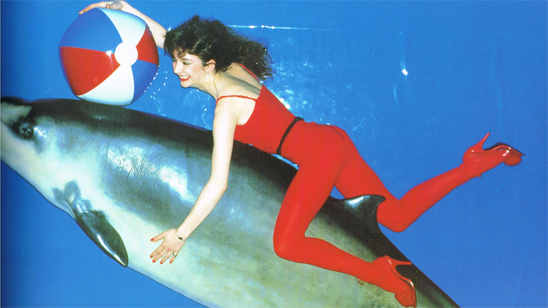 kate-bush-beach-ball-porpoise.png