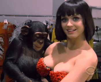 monk-katy-gif.gif