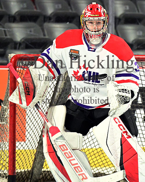 www.eliteprospects.com