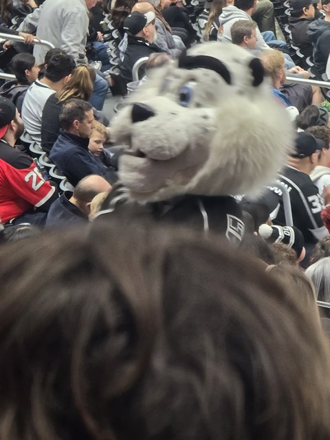 20240303-134349.jpg