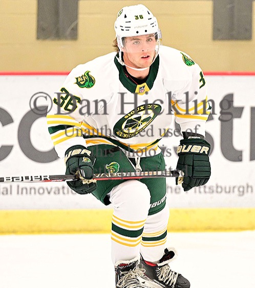 www.eliteprospects.com