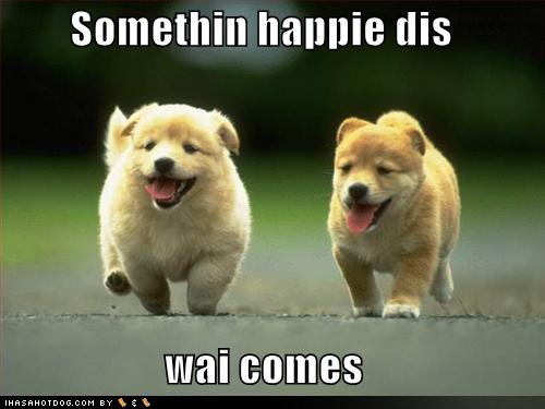 cute_puppy_pictures_something_happy_this_way_comes.jpg